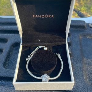Pandora bracelet